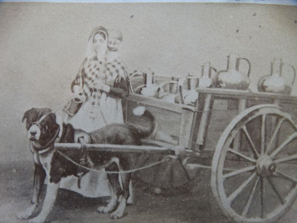 Vintage Photograph Draught-Dog & Dogcart & Milkmaid c 1860