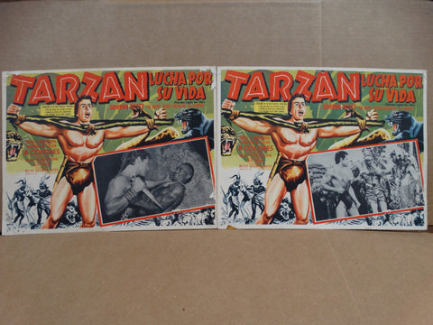 TARZAN'S FIGHT FOR LIFE (Tarzan Lucha Por Sa Vida) 1958 Set of 2 Lobby Cards