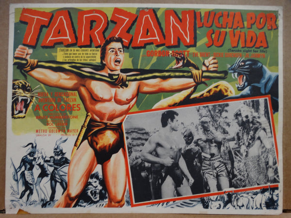 TARZAN'S FIGHT FOR LIFE (Tarzan Lucha Por Sa Vida) 1958 Set of 2 Lobby Cards