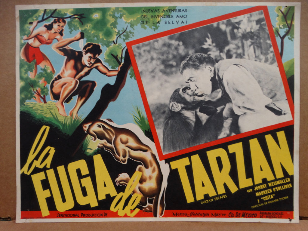 TARZAN ESCAPES (La Fuga de Tarzan) 1936 Spanish Language Lobby Card