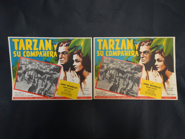 Tarzan and His Mate (Tarzan y Su Campanera) Lobby Card