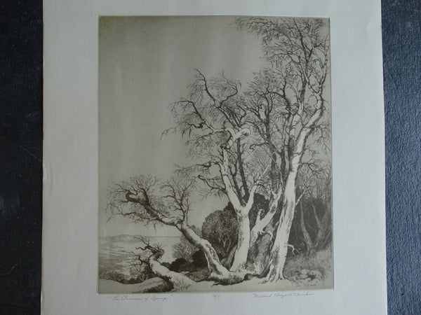 Mildred Bryant Brooks - The Promise of Spring - Etching AP 1264