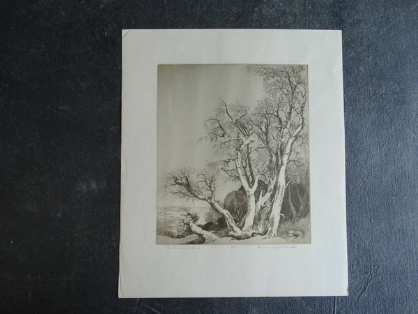 Mildred Bryant Brooks - The Promise of Spring - Etching AP 1264