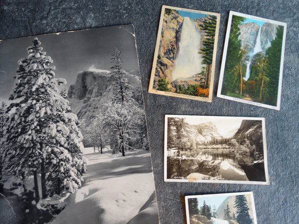 Yosemite Ephemera Collection c 1949 AP1274