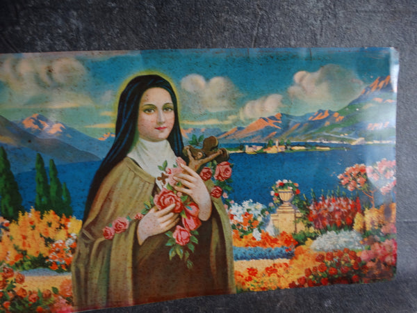 Mexican Tin Litho Sign - Virgin Mary in Paradise Vista AP1320