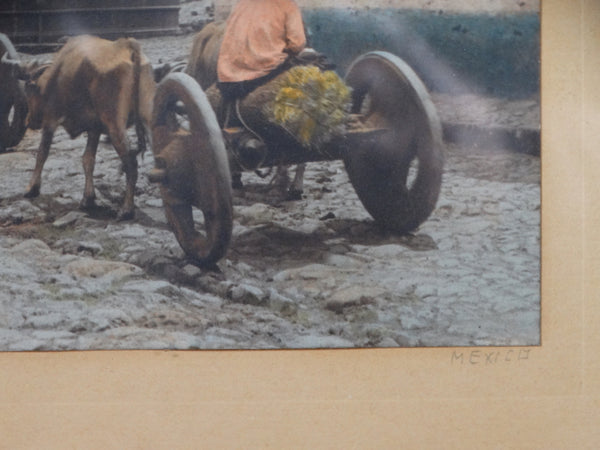 Hand-tinted Photograph of Two Mexican Farmers Driving Their Ox Carts AP1359