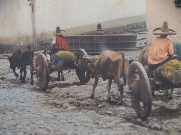 Hand-tinted Photograph of Two Mexican Farmers Driving Their Ox Carts AP1359