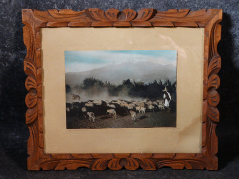 Hand-Tinted Photograph Mexican Shepherd with His Sheep AP1360