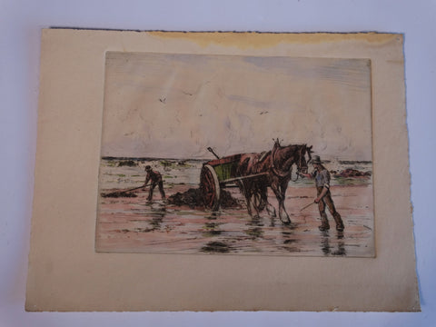 Thomas Hill McKay (1875-1941)  Harvesting Kelp - Etching AP1433