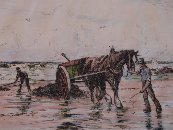 Thomas Hill McKay (1875-1941)  Harvesting Kelp - Etching AP1433
