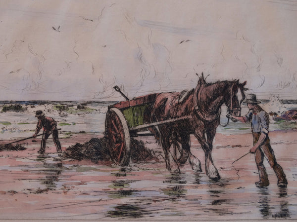 Thomas Hill McKay (1875-1941)  Harvesting Kelp - Etching AP1433