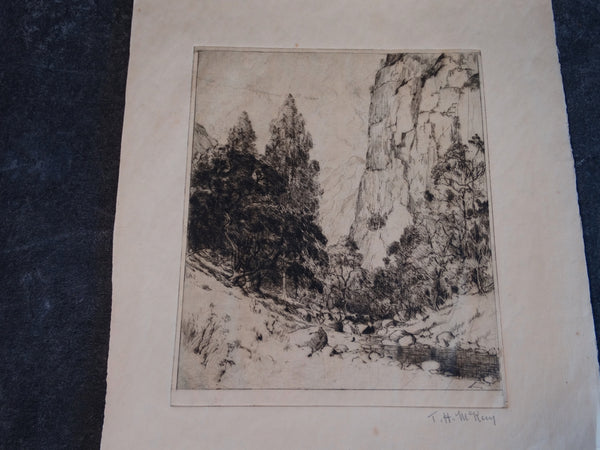 Thomas Hill McKay (1874-1941 )- The Ravine: Trees, A Stream - Etching AP1448