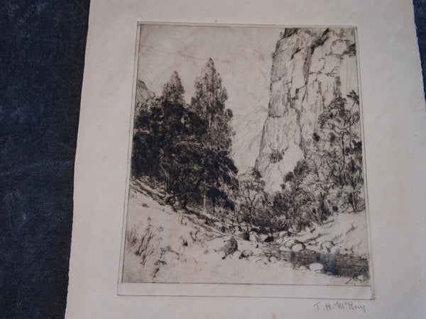 Thomas Hill McKay (1874-1941 )- The Ravine: Trees, A Stream - Etching AP1448