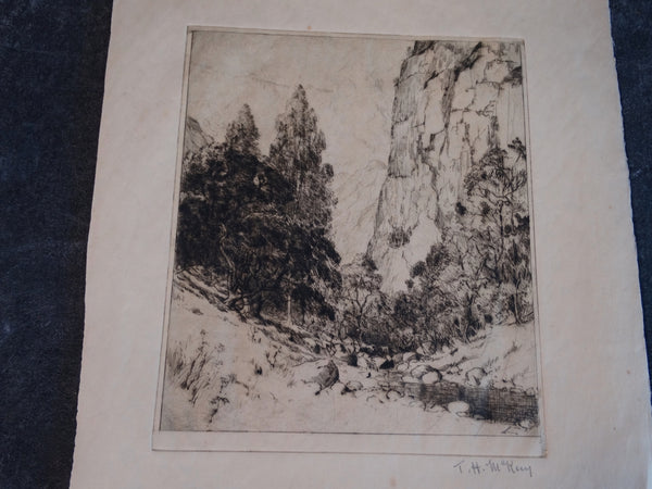 Thomas Hill McKay (1874-1941 )- The Ravine: Trees, A Stream - Etching AP1448