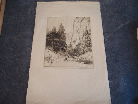 Thomas Hill McKay (1874-1941 )- The Ravine: Trees, A Stream - Etching AP1449