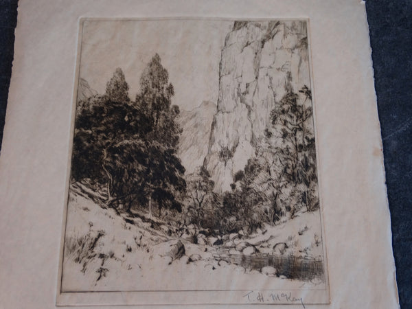 Thomas Hill McKay (1874-1941 )- The Ravine: Trees, A Stream - Etching AP1449