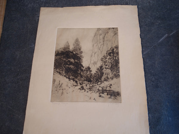 Thomas Hill McKay - Topanga Canyon - Etching 1929 AP1450