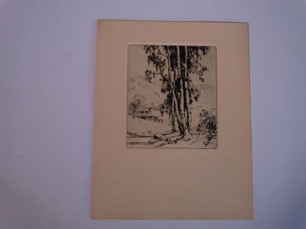 Thomas Hill McKay (1875-1941) Eucalyptus on a Farmstead - Etching AP1453