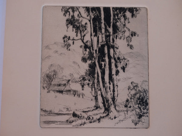 Thomas Hill McKay (1875-1941) Eucalyptus on a Farmstead - Etching AP1453