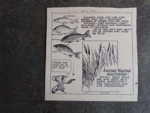 Robert Warren Hines - Wildlife Illustration - Another Wartime Adaptation - 1940s AP1640