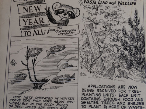 Robert Warren Hines - Wildlife Illustration - Happy New Year To All - AP1642