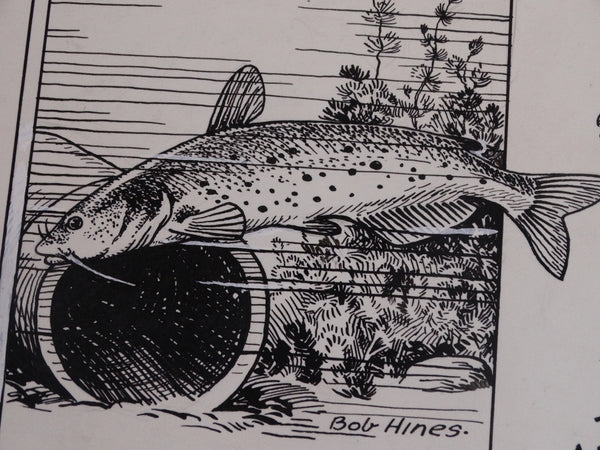 Robert Warren Hines - Wildlife Illustration - Channel Catfish - 1942 AP1644