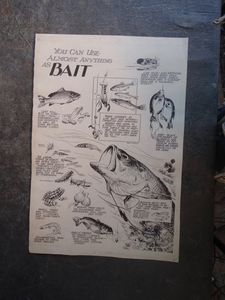 Robert Warren Hines - Wildlife Illustration - You Can Use Anything As Bait - AP1646