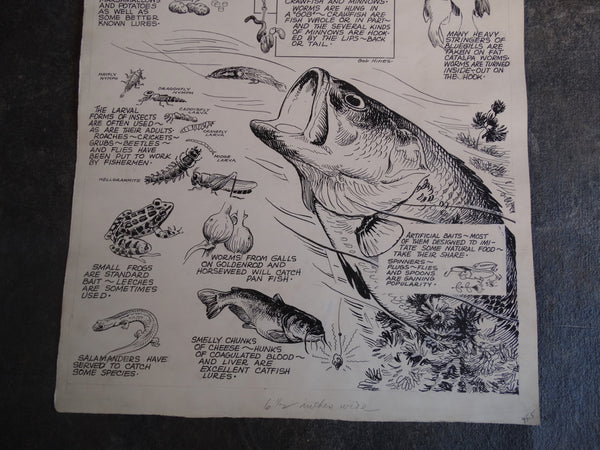 Robert Warren Hines - Wildlife Illustration - You Can Use Anything As Bait - AP1646