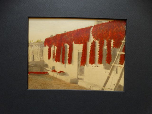 Hand-Tinted 1920s Photograph of Peppers Drying in Mexico