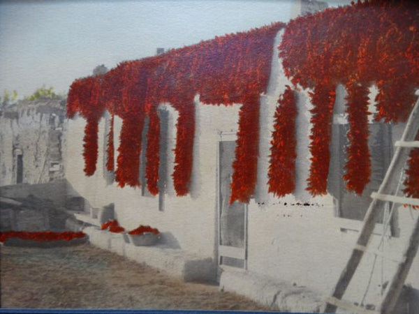 Hand-Tinted 1920s Photograph of Peppers Drying in Mexico