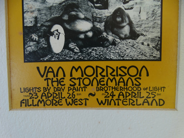 Classic Rock Postcard: Joe Cocker, Van Morrison, The Stonemans