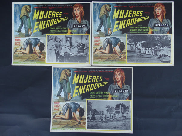 Mujeres Encadenadas (Betrayed Women 1955) 3 Lobby Cards B