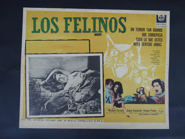 Los Felinos (Eye of the Cat 1969) Lobby Card