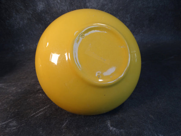 Garden City Carafe in Yellow CA2146