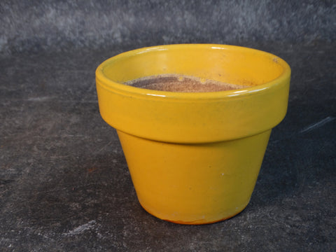 Garden City Miniature Garden Pot in Yellow c 1930s-40s CA2148