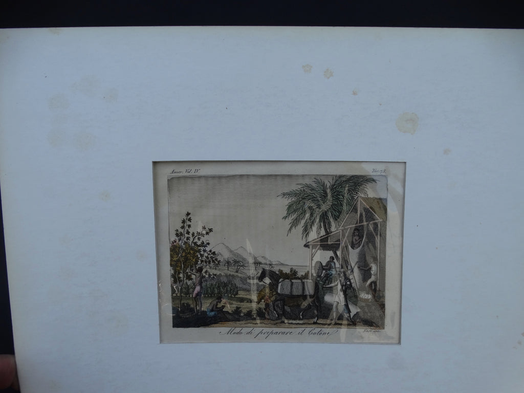 Engraving, Hand Painted “Modo di Preparare il Cotone”, 1820