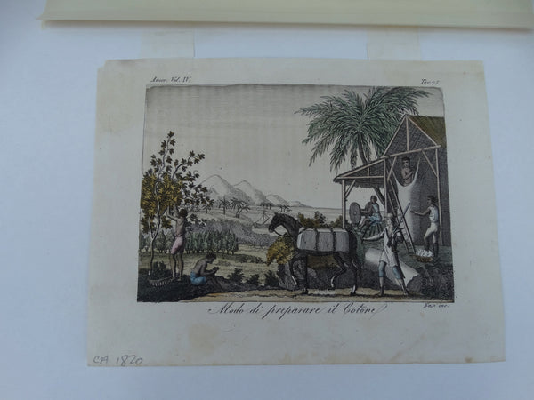 Engraving, Hand Painted “Modo di Preparare il Cotone”, 1820