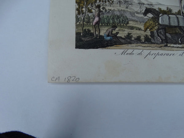 Engraving, Hand Painted “Modo di Preparare il Cotone”, 1820