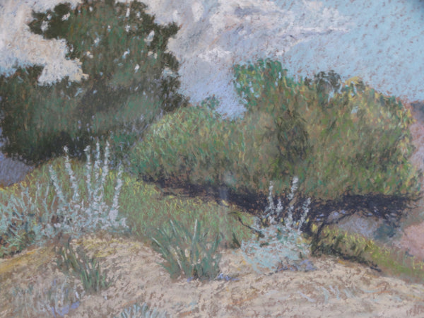 John Whitworth Robson - Santa Barbara Landscape - Pastel on Board  1914 P3054