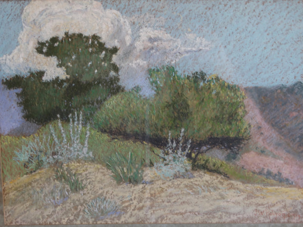 John Whitworth Robson - Santa Barbara Landscape - Pastel on Board  1914 P3054