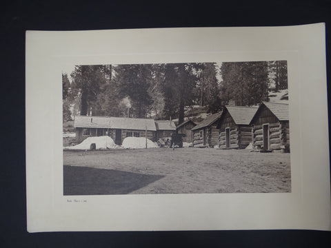 Black and White Photograph of “Pine Knot”